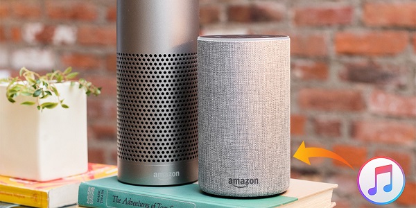 stream apple music to amazon echo