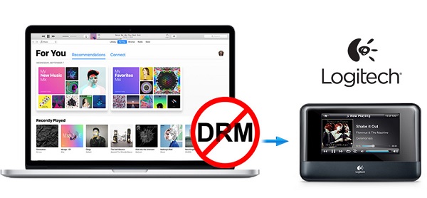 Stream Apple Music to Squeezebox