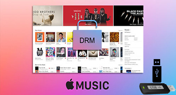 move apple music to usb