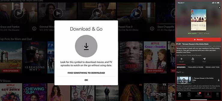 Netflix app download