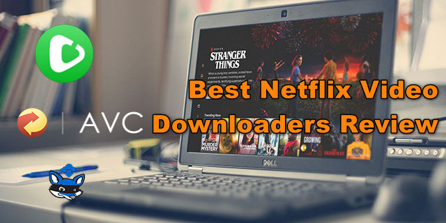 best netflix video downloaders review