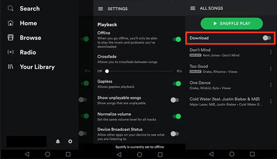 download spotify offline to iPhone with Premium
