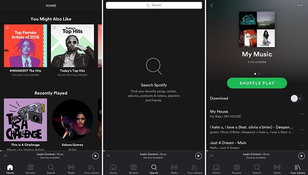 stream spotfy music for offline listening