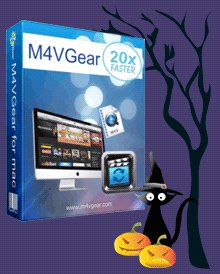 M4VGear Box