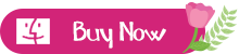 Buy M4VGear for Mac