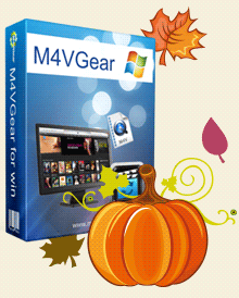 Windows Box