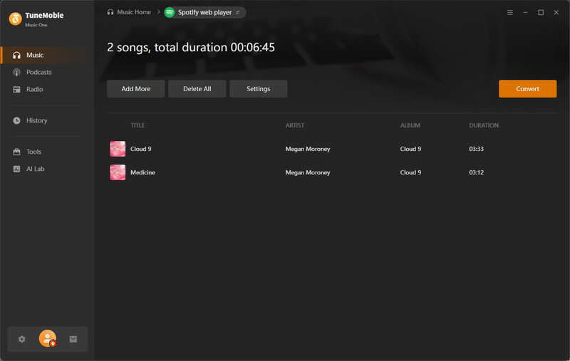 start converting Spotify music to iTunes